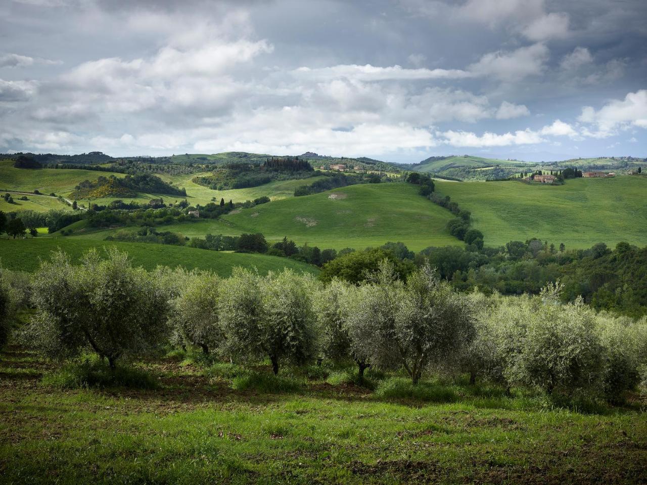 Borgo Lucignanello Bandini Villa San Giovanni dʼAsso Buitenkant foto